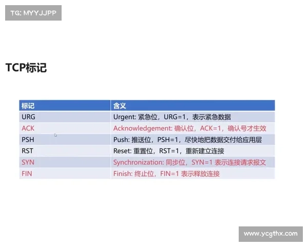 《深入评测R1000TC北美版的十个关键性能指标与使用体验》