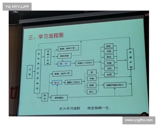 如何优化十三号病院的通关流程提升效率与患者体验