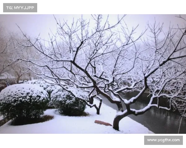 冬日湖畔的静谧与思索在白雪纷飞中的心灵觉醒与内省之旅