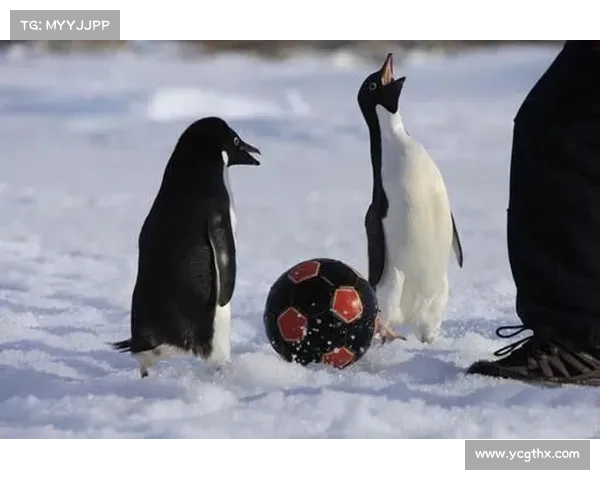 冰虎宝宝如何在极地寒冷环境中生存与适应的独特技巧揭秘